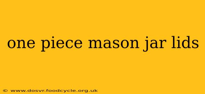 one piece mason jar lids