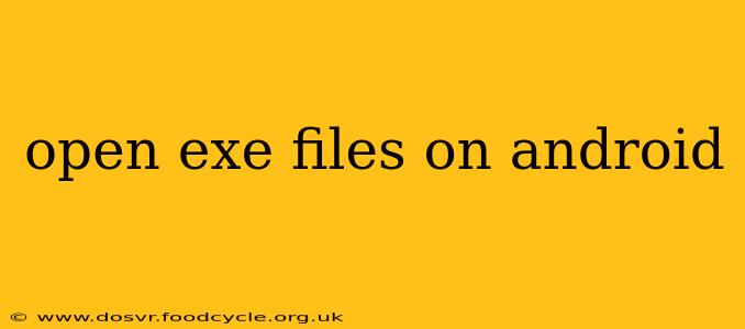 open exe files on android