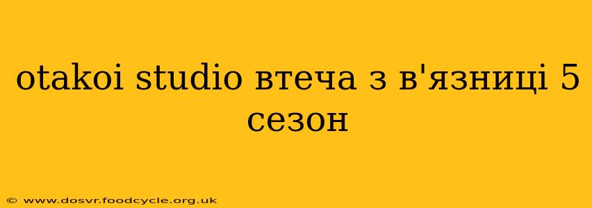 otakoi studio втеча з в'язниці 5 сезон