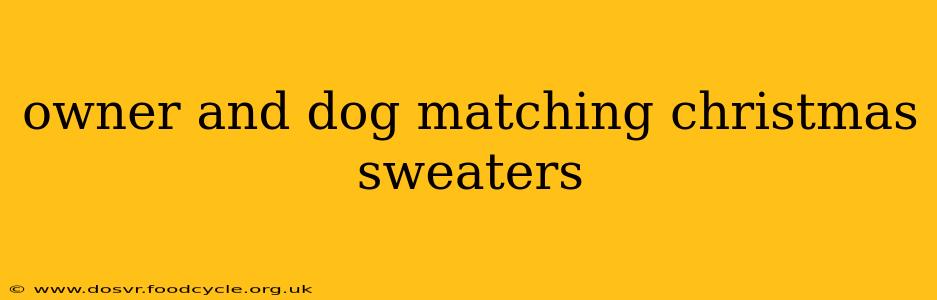 owner and dog matching christmas sweaters