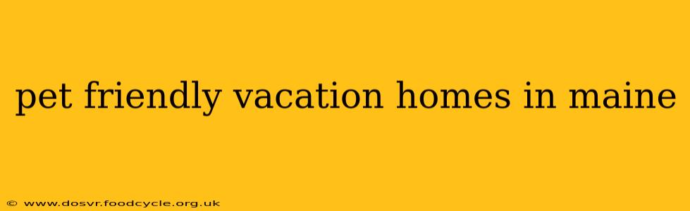 pet friendly vacation homes in maine