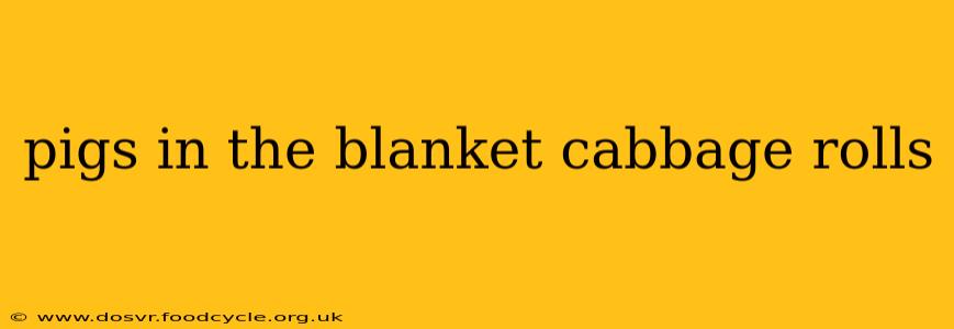 pigs in the blanket cabbage rolls