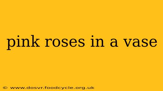 pink roses in a vase