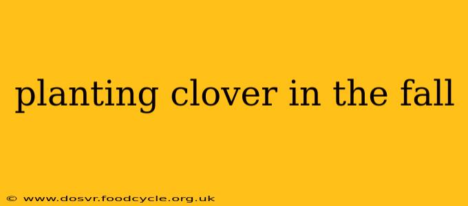 planting clover in the fall
