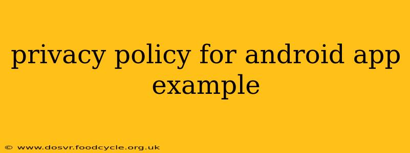 privacy policy for android app example
