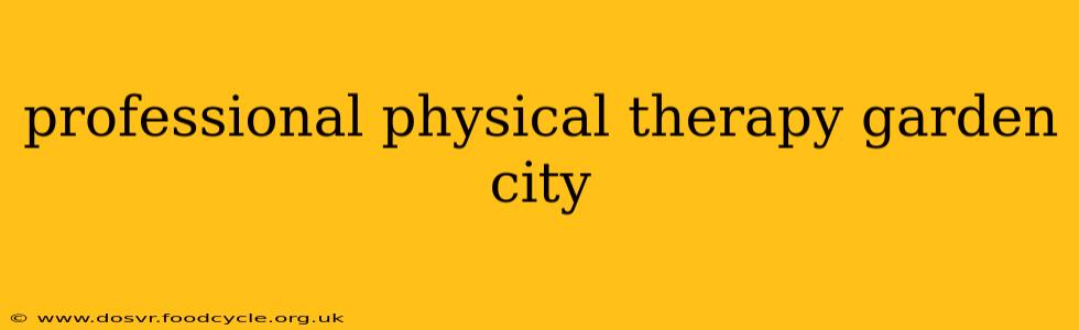 professional physical therapy garden city