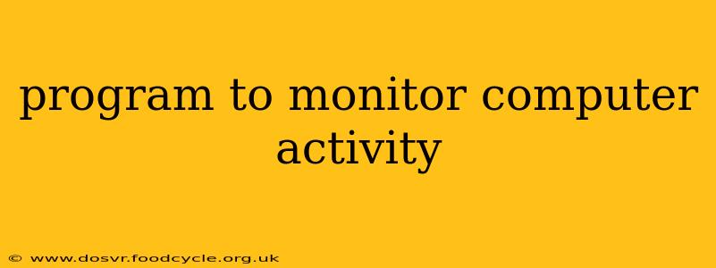 program to monitor computer activity