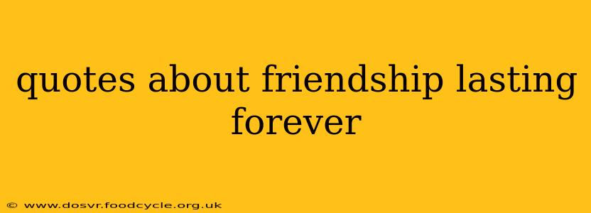 quotes about friendship lasting forever