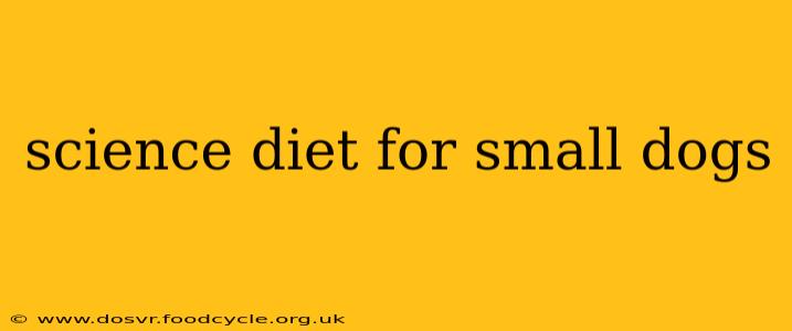 science diet for small dogs