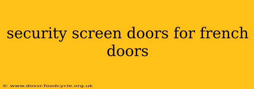 security screen doors for french doors