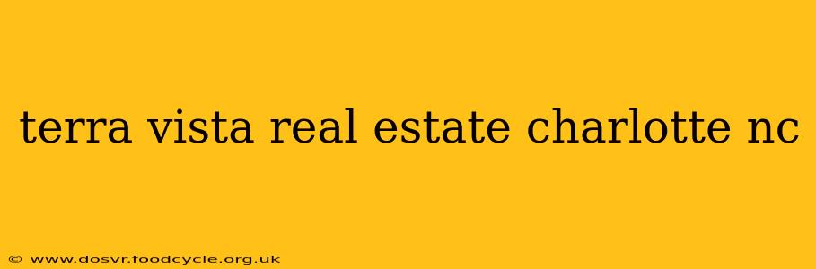 terra vista real estate charlotte nc