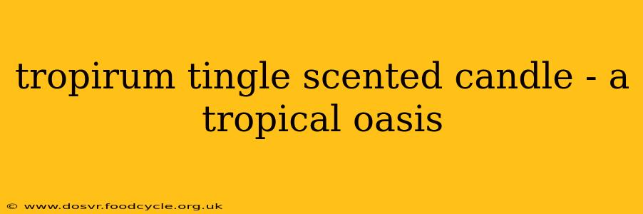 tropirum tingle scented candle - a tropical oasis
