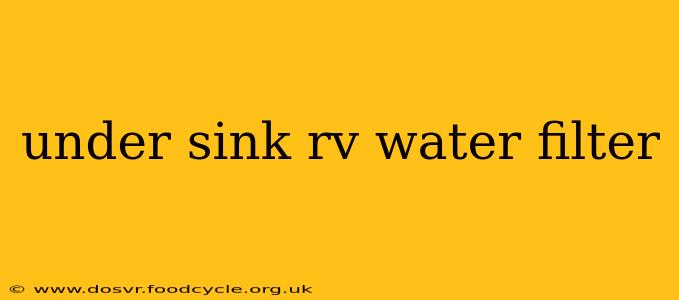 under sink rv water filter