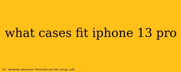 what cases fit iphone 13 pro