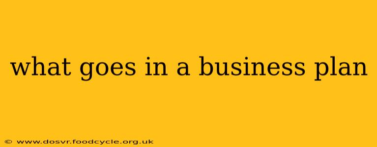 what goes in a business plan