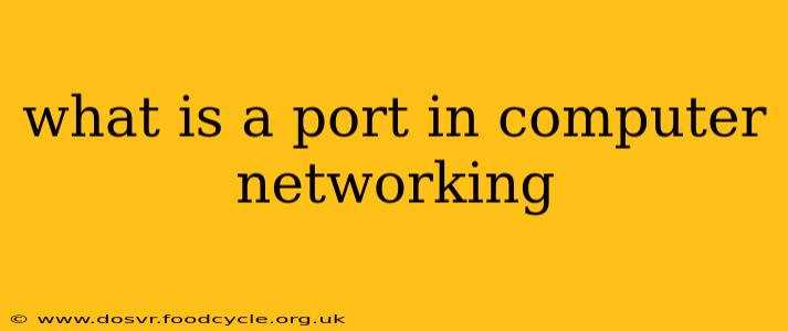 what is a port in computer networking
