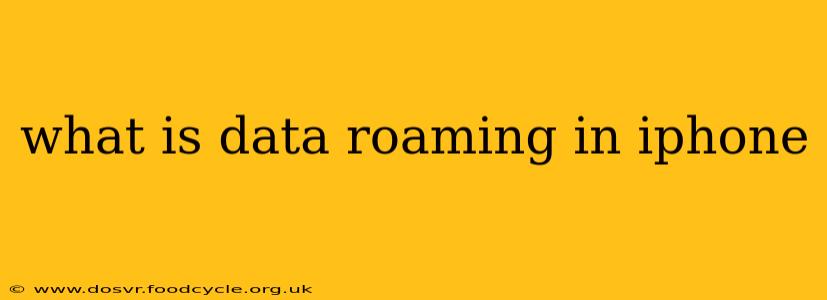 what is data roaming in iphone