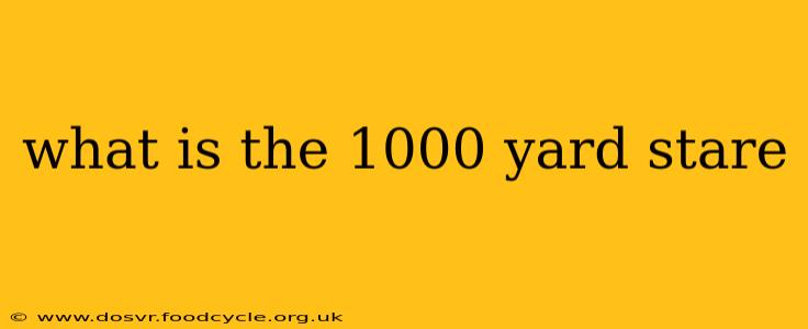 what is the 1000 yard stare