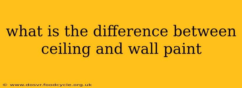 what is the difference between ceiling and wall paint