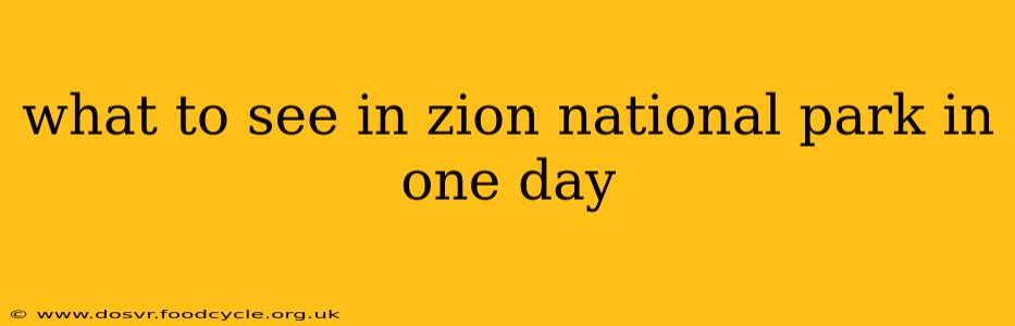 what to see in zion national park in one day