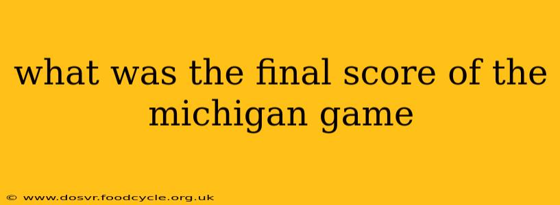 what was the final score of the michigan game