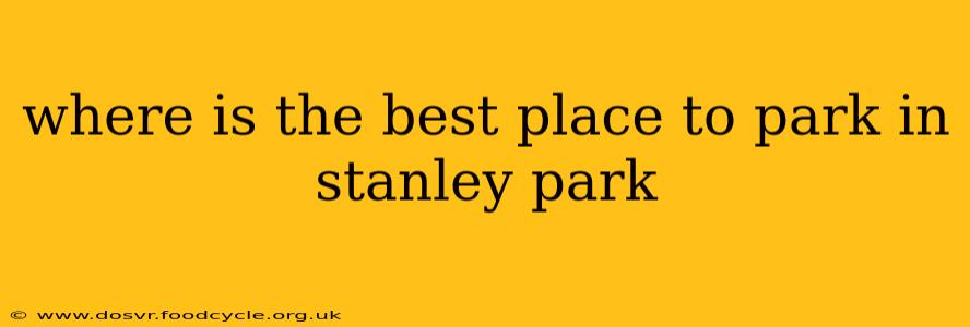 where is the best place to park in stanley park