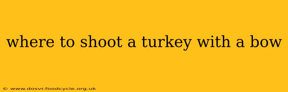 where to shoot a turkey with a bow