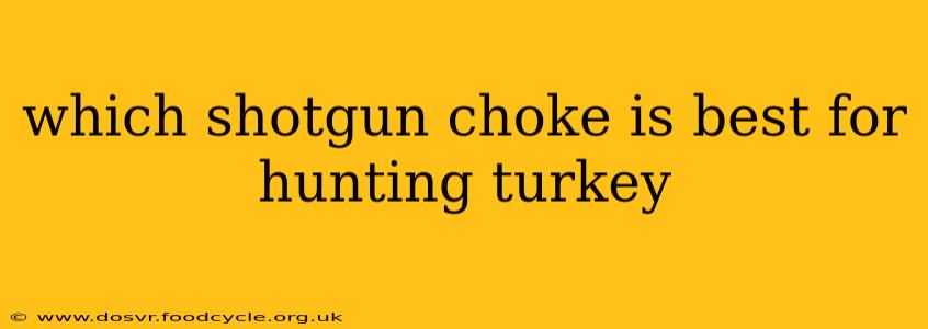 which shotgun choke is best for hunting turkey