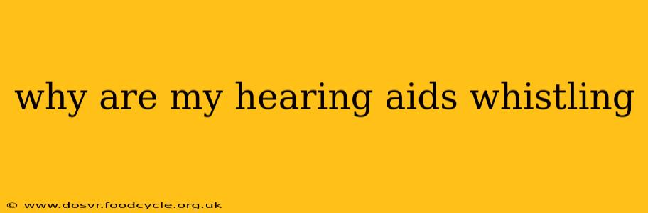 why are my hearing aids whistling