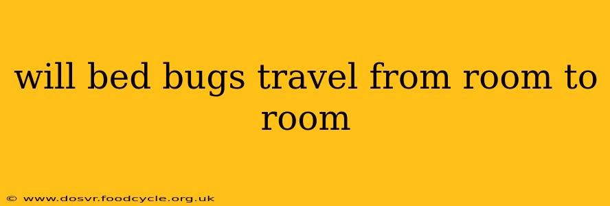 will bed bugs travel from room to room