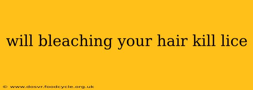 will bleaching your hair kill lice