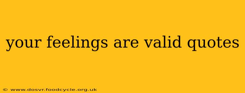 your feelings are valid quotes