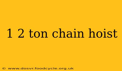 1 2 ton chain hoist