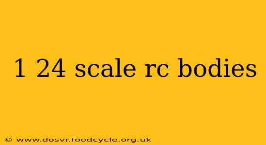 1 24 scale rc bodies