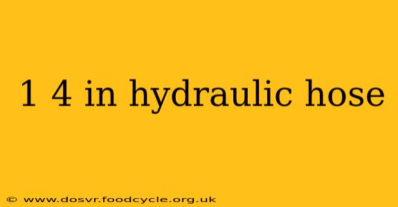 1 4 in hydraulic hose