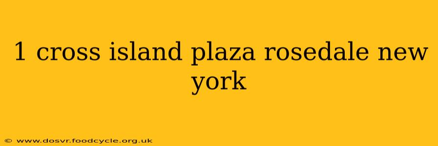1 cross island plaza rosedale new york