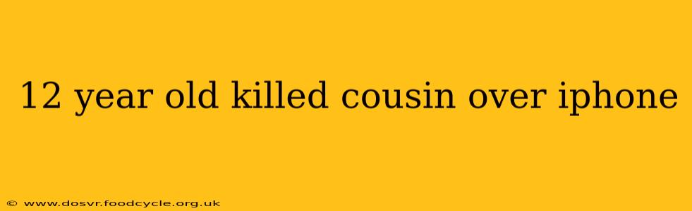 12 year old killed cousin over iphone