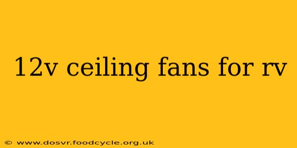 12v ceiling fans for rv