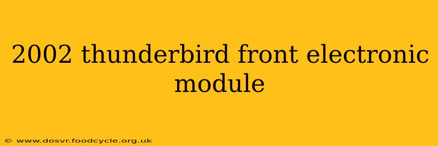 2002 thunderbird front electronic module