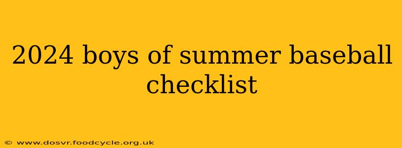 2024 boys of summer baseball checklist