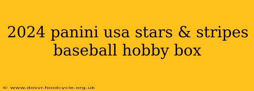 2024 panini usa stars & stripes baseball hobby box