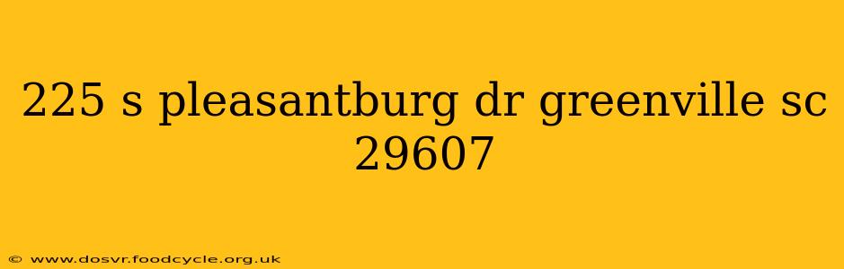 225 s pleasantburg dr greenville sc 29607