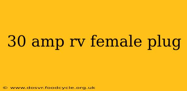 30 amp rv female plug