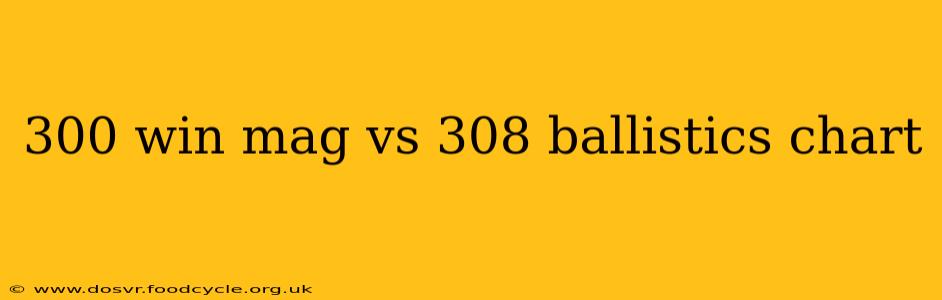 300 win mag vs 308 ballistics chart