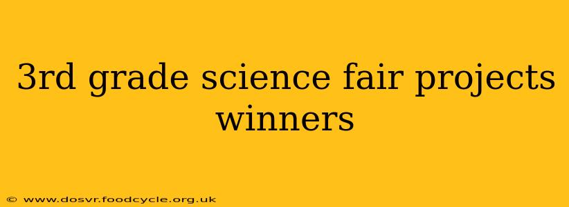 3rd grade science fair projects winners