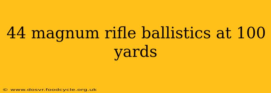 44 magnum rifle ballistics at 100 yards