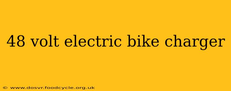 48 volt electric bike charger