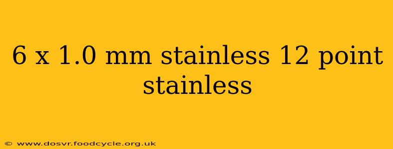 6 x 1.0 mm stainless 12 point stainless