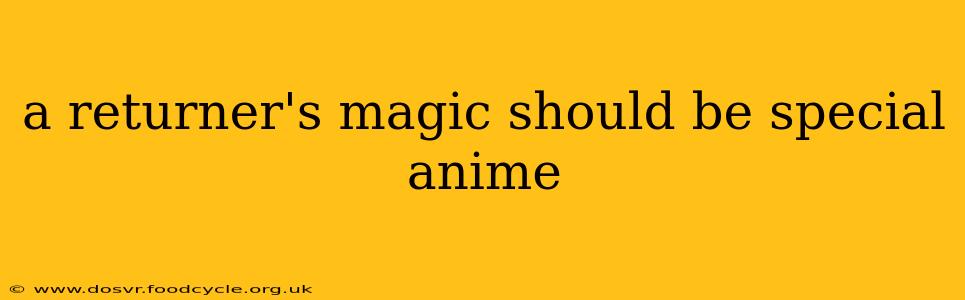 a returner's magic should be special anime