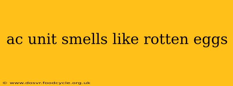 ac unit smells like rotten eggs